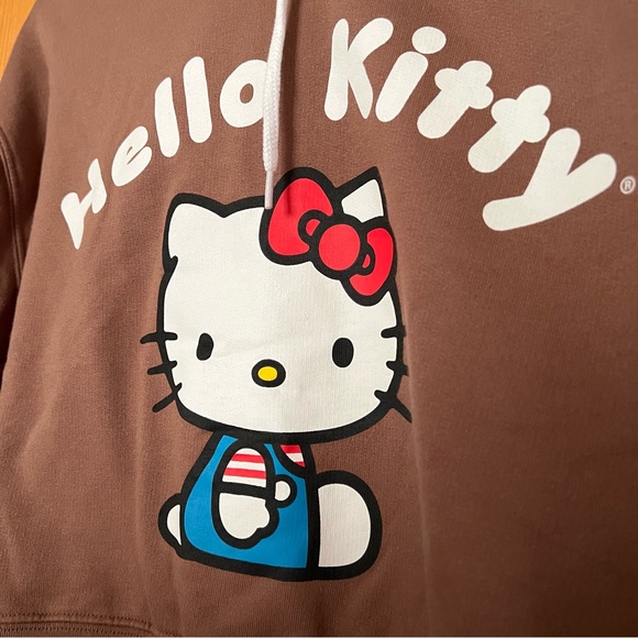 Hello Kitty Chocolate Brown crop hoodie L sweater - Picture 3 of 4